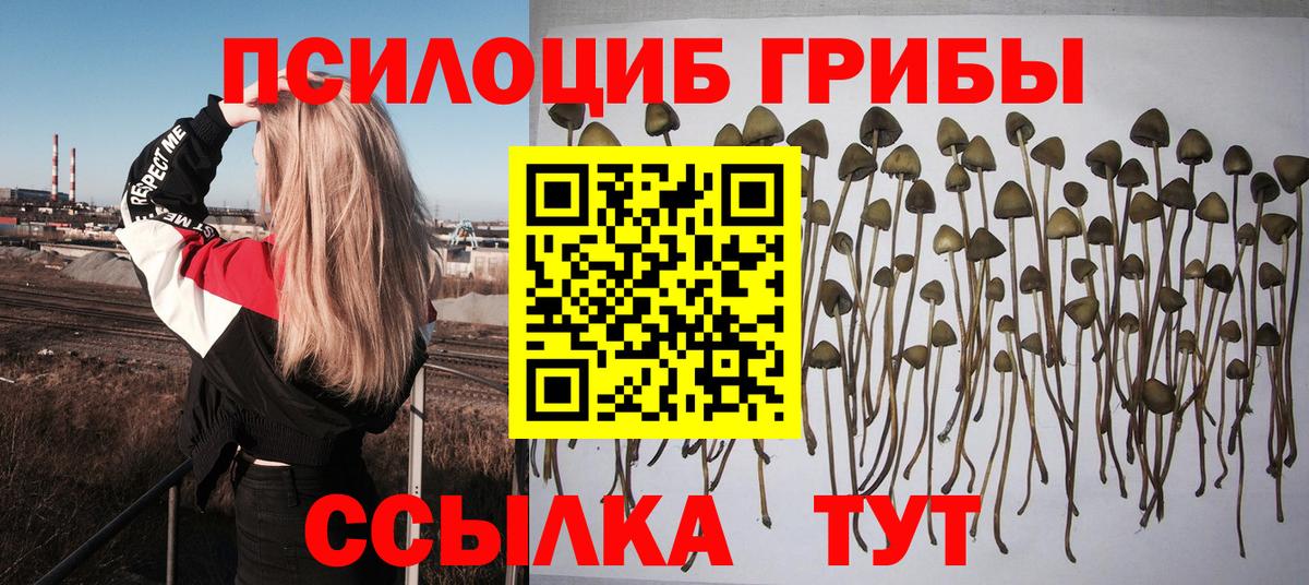 Галлюциногенные грибы GOLDEN TEACHER Первоуральск